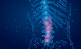 μυελικός κώνος