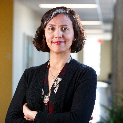 καρκίνος των ωοθηκών