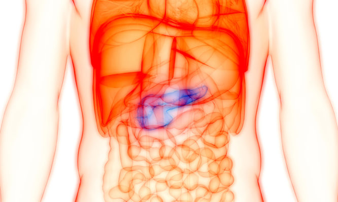 καρκίνος του παγκρέατος