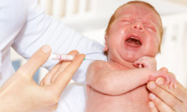 στρεπτόκοκκος