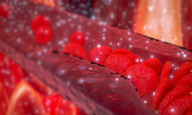 χοληστερόλη