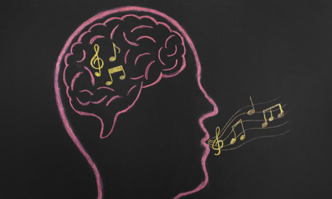 νευρώνες του τραγουδιού