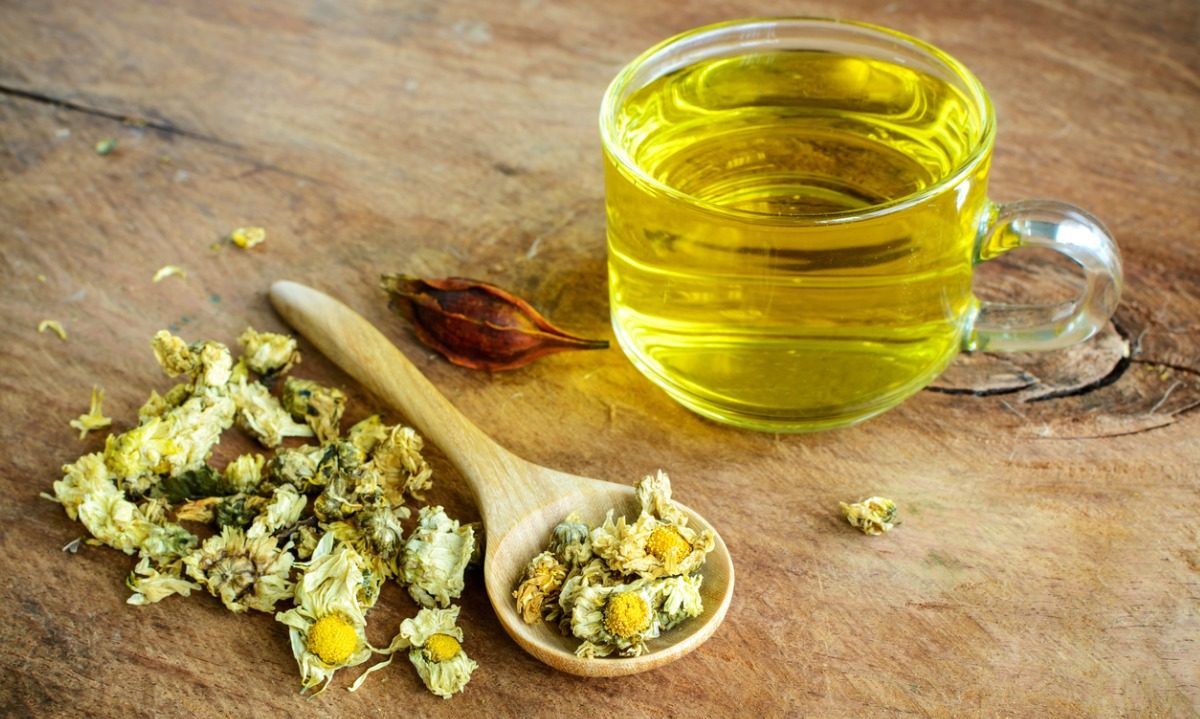 χρυσάνθεμο