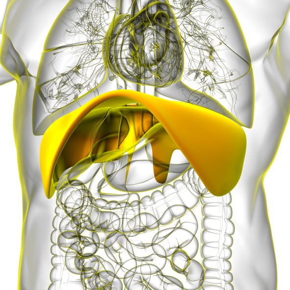 διαφραγματοκήλη
