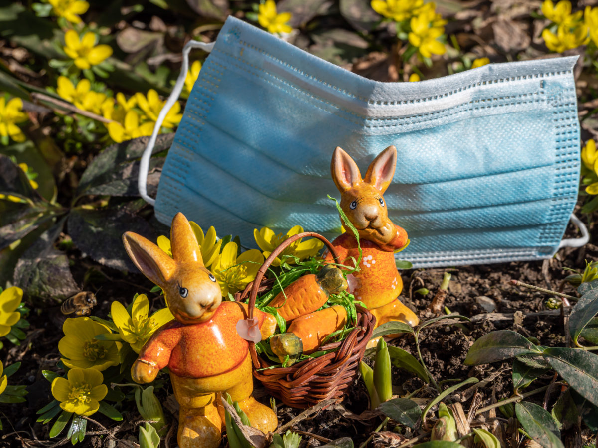 ανεμβολίαστοι