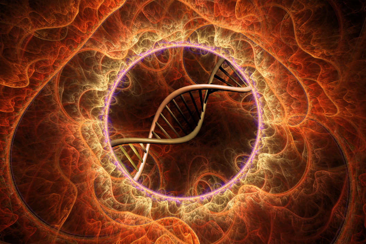 αντιγήρανση