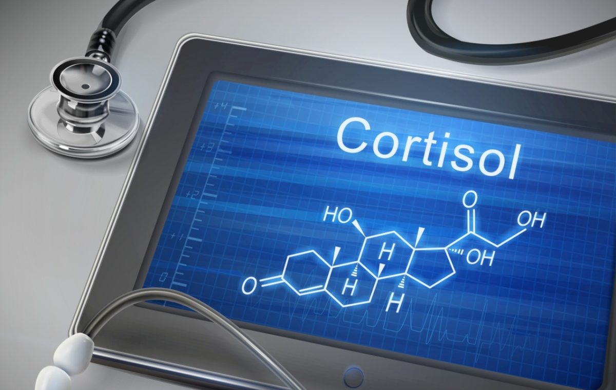κορτιζόλη