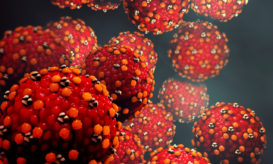 των πιθήκων