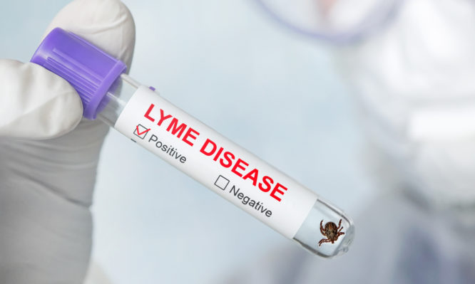 νόσος Lyme