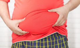 σπλαχνικό λίπος