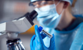 ευλογιά των πιθήκων