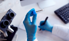 ευλογιά των πιθήκων