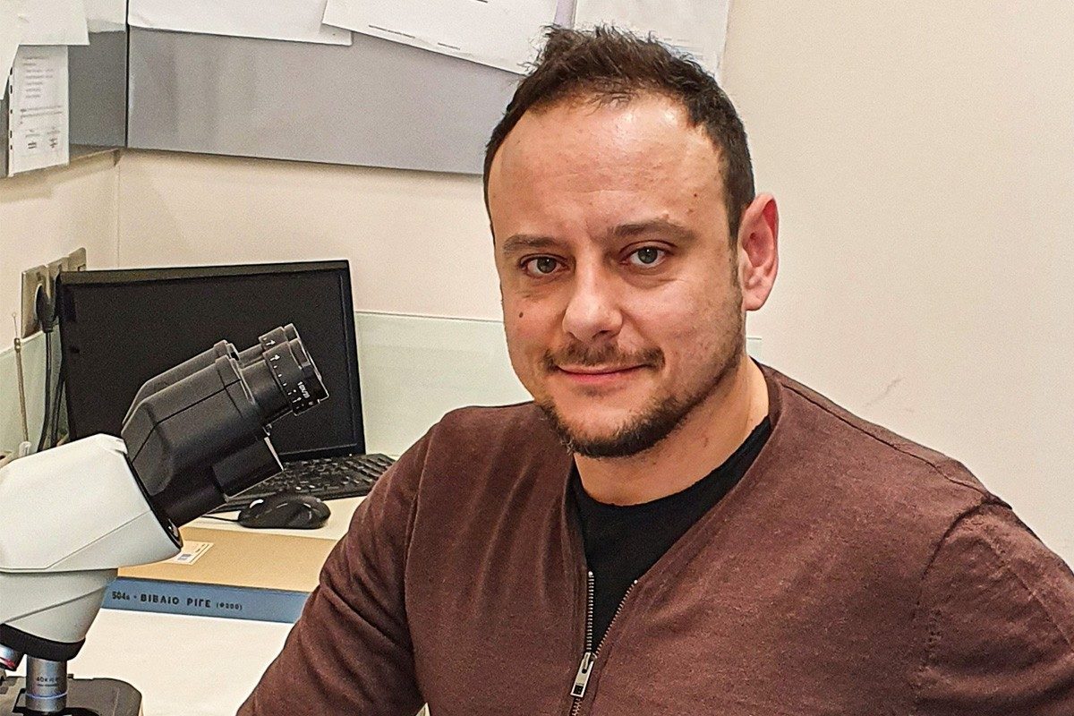 Μαγιορκίνης