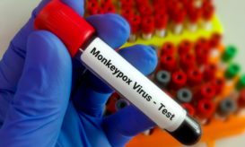 ευλογιά των πιθήκων