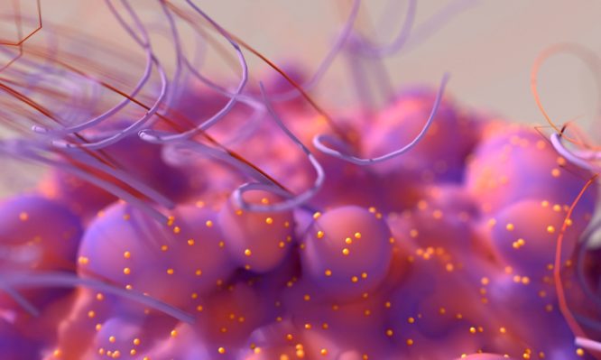 παράγοντες κινδύνου