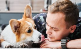 ευλογιά των πιθήκων