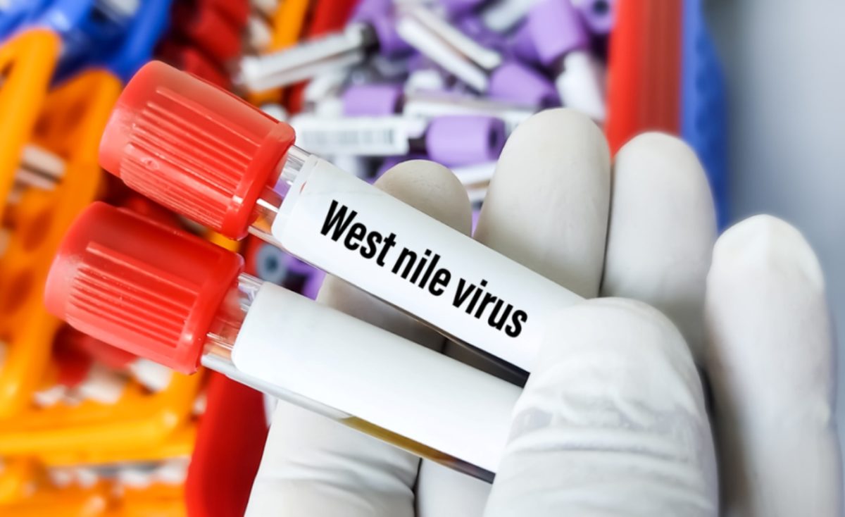 ιός του Δυτικού Νείλου