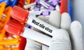 ιός του Δυτικού Νείλου