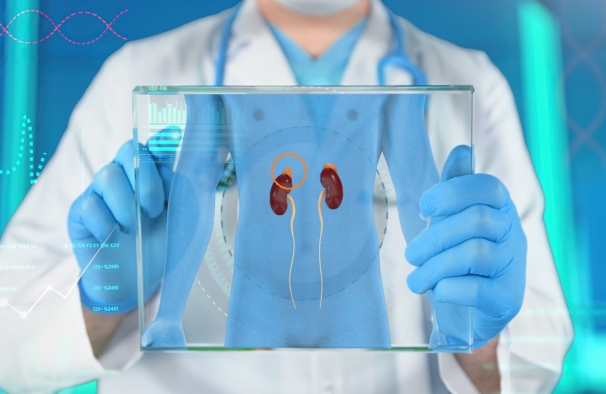 επινεφρίδια