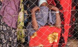 ακρωτηριασμός γεννητικών οργάνων