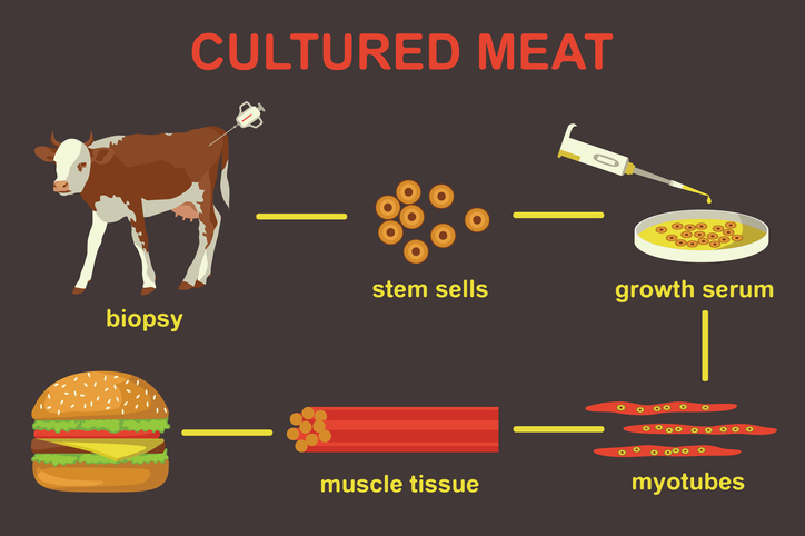 κρέας εργαστηριακής καλλιέργειας