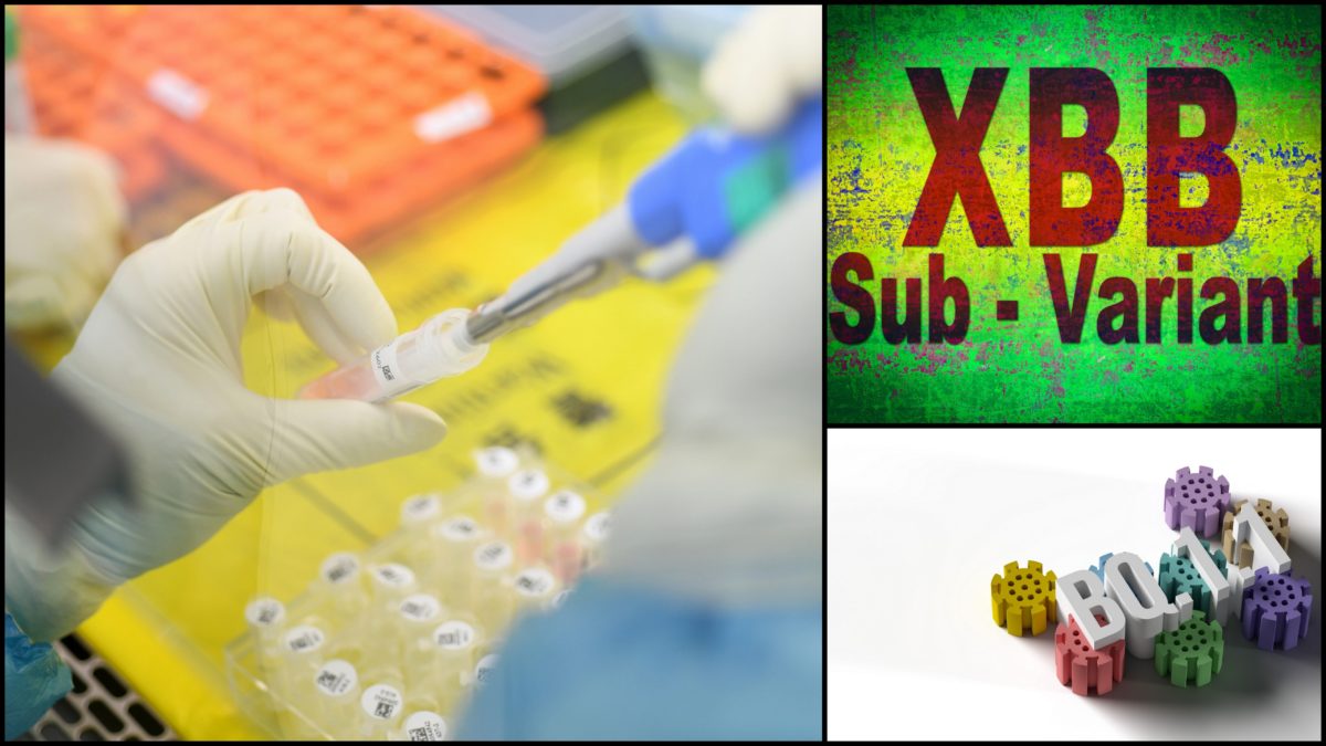 παραλλαγές