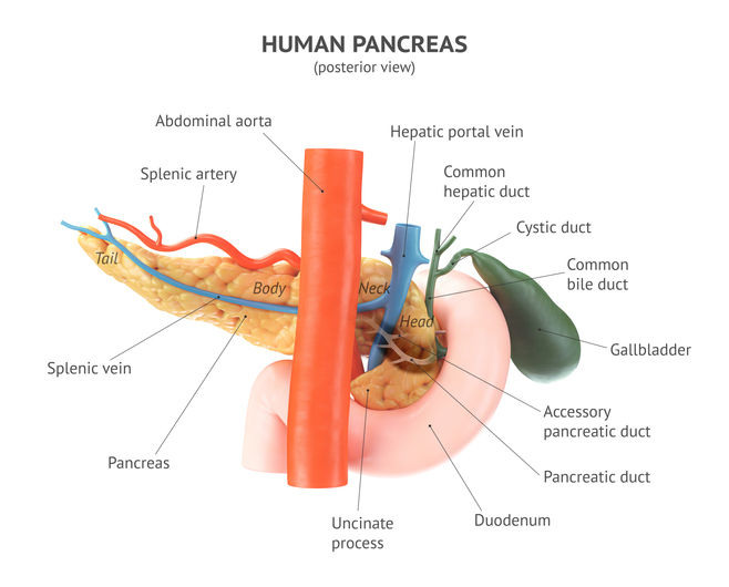 καρκίνος του παγκρέατος