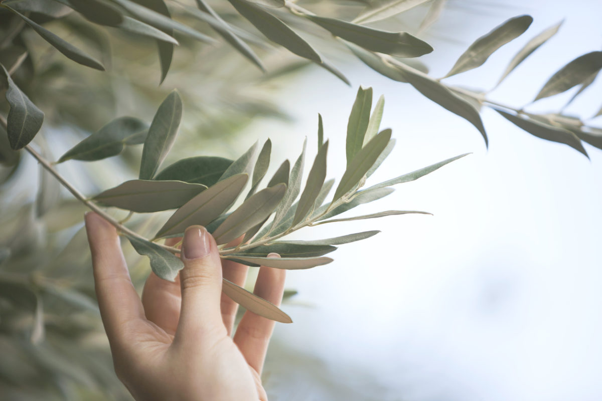 ενδομητρίωση