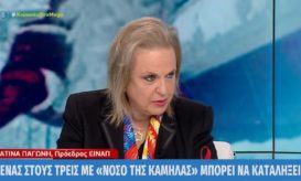 γρίπης της καμήλας