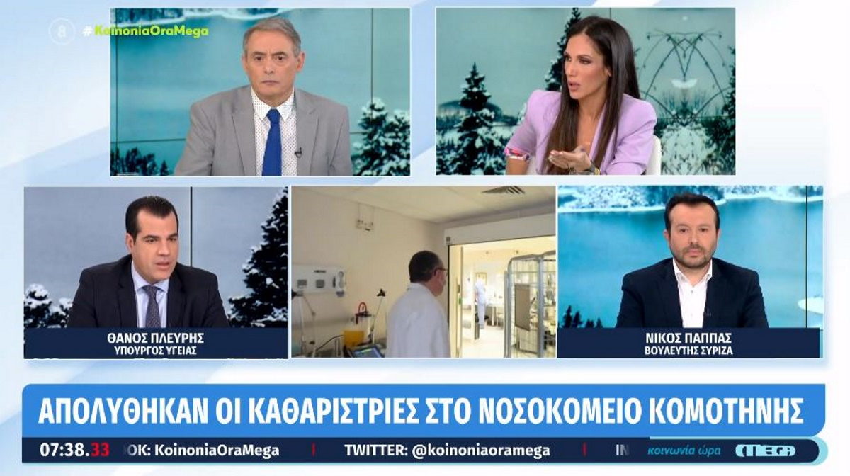 Πλεύρης