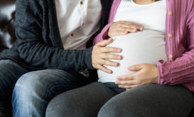 αναπαραγωγής