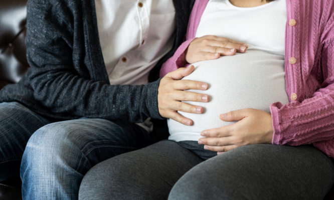 αναπαραγωγής