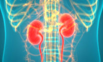 νεφρική νόσος
