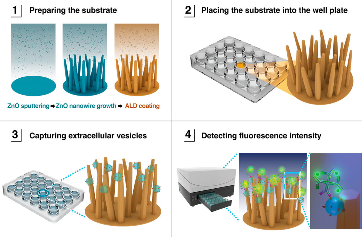 του εγκεφάλου