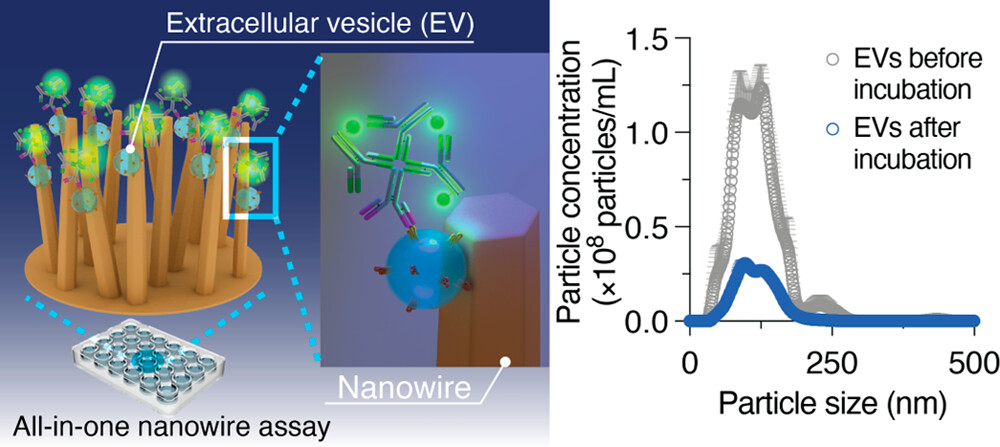 του εγκεφάλου