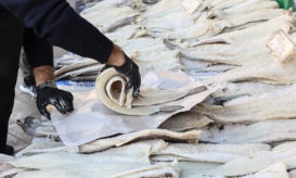 μπακαλιάρος