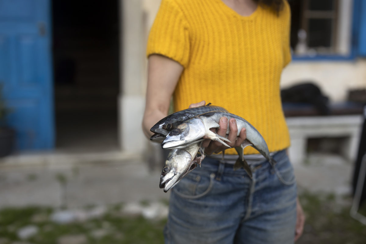 τροφική δηλητηρίαση