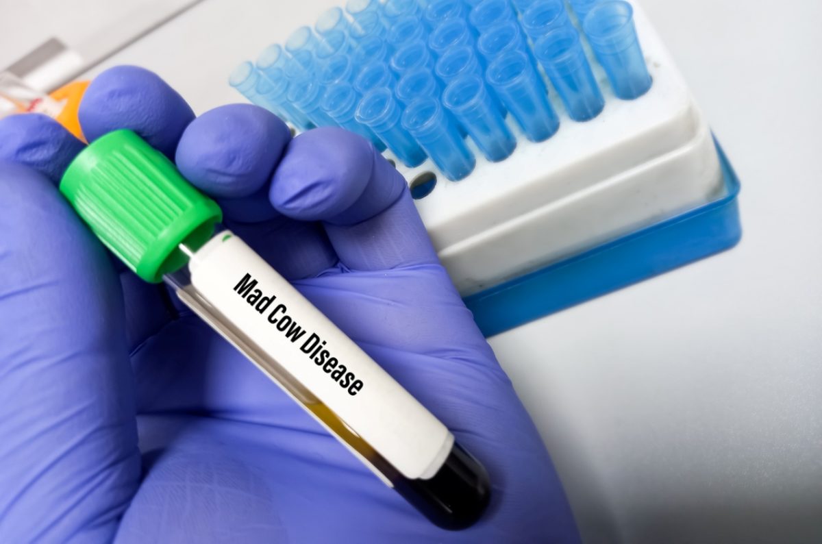 τρελών αγελάδων