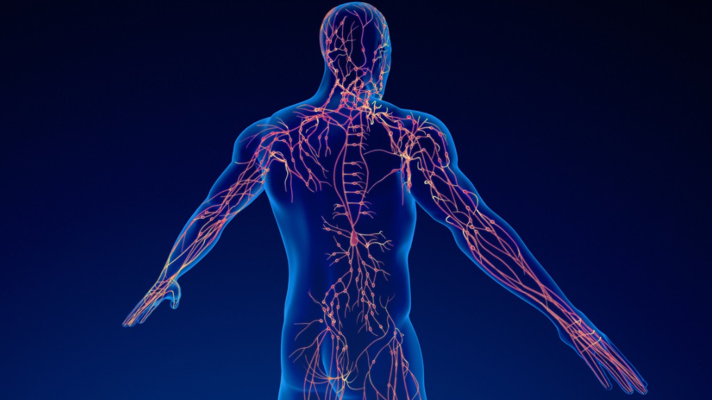 λεμφαδένες