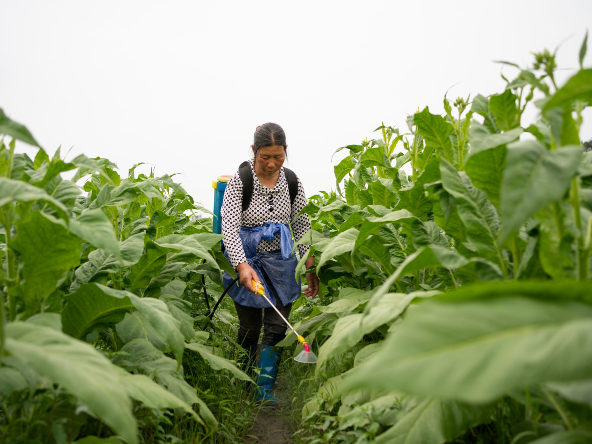 Παγκόσμια Ημέρα κατά του Καπνίσματος