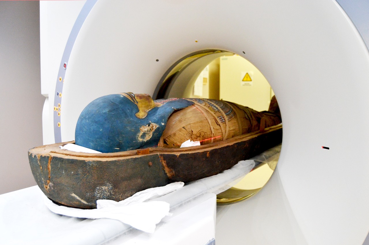 Αιγυπτιακή Συλλογή