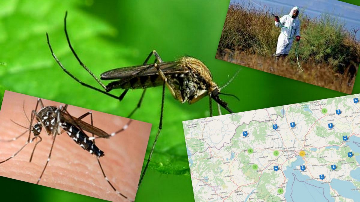 Ιός του Δυτικού Νείλου