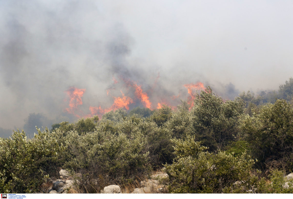 πυρκαγιές