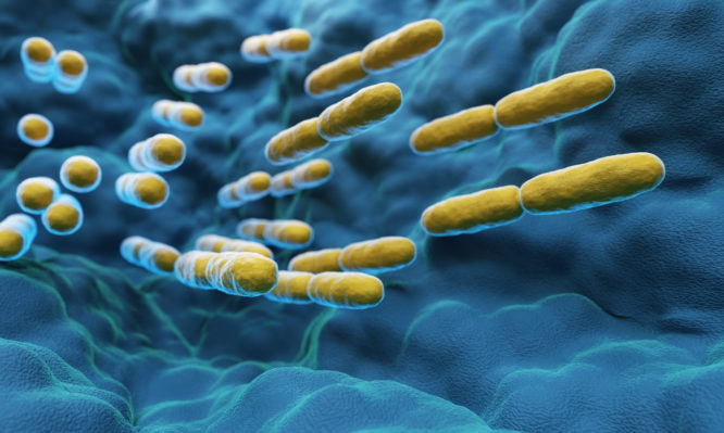 μικροβίωμα