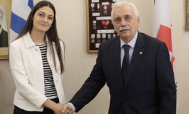 ΕΛΛΗΝΙΚΟΣ ΕΡΥΘΡΟΣ ΣΤΑΥΡΟΣ