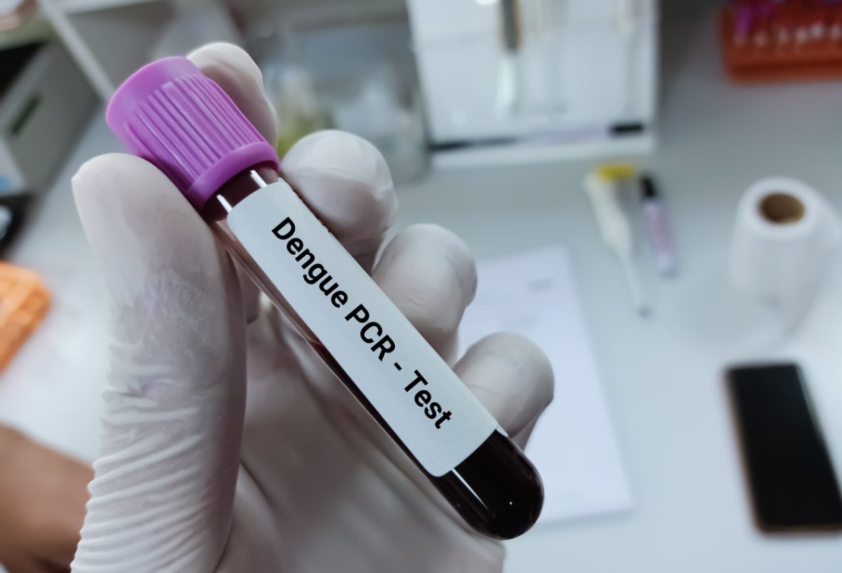 δάγκειος πυρετός