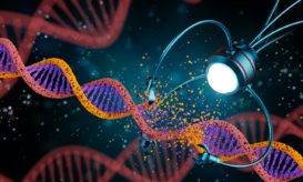 μικρορομπότ