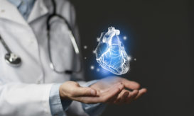 καρδιά χοίρου