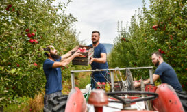 ΕΣΠΑ, απεξάρτηση