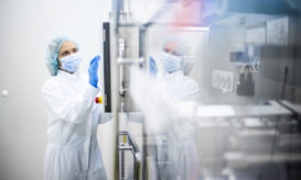 Παπαέλληνας